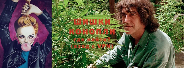 стаф Арсеньев