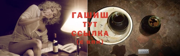 стаф Арсеньев