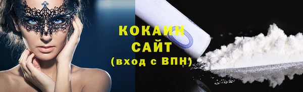 стаф Арсеньев