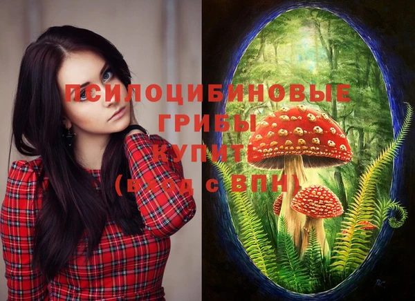 прущая мука Армянск