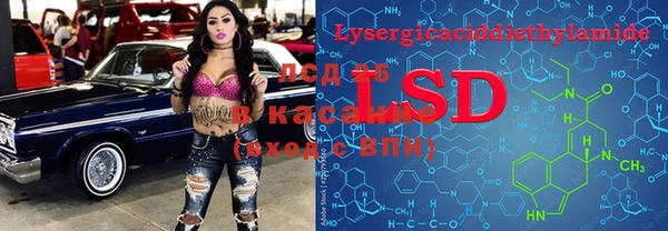 стаф Арсеньев