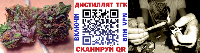 ТГК концентрат  Шуя 