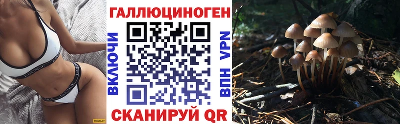 Галлюциногенные грибы Magic Shrooms Шуя
